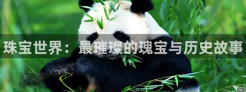 新宝5平台登录下载软件：珠宝世界：最璀璨的瑰宝与历史故事