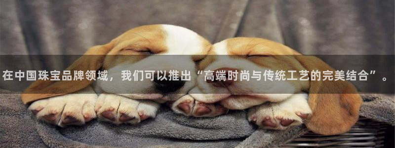 新宝5软件下载：在中国珠宝品牌领域，我们可以推出“高端时尚与传统工艺的完美结合”