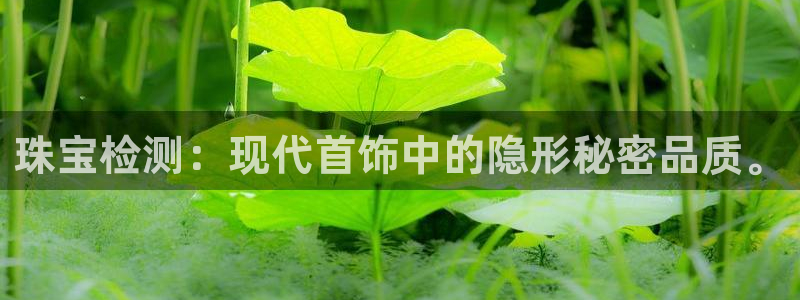 新宝5入口：珠宝检测：现代首饰中的隐形秘密品质。