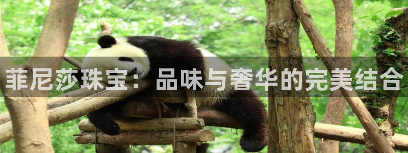 新宝5五：菲尼莎珠宝：品味与奢华的完美结合