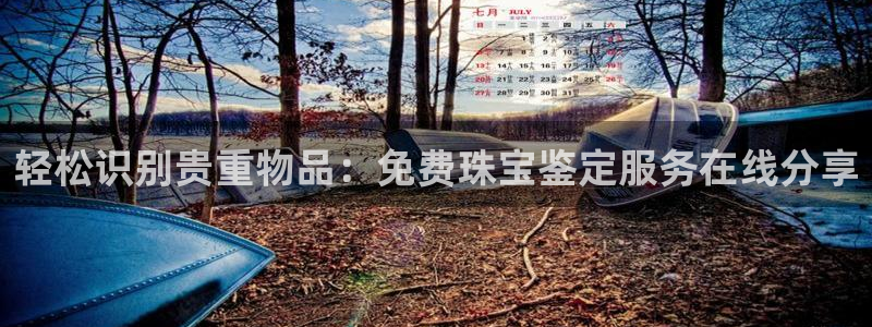 新宝5登录：轻松识别贵重物品：免费珠宝鉴定服务在线分享