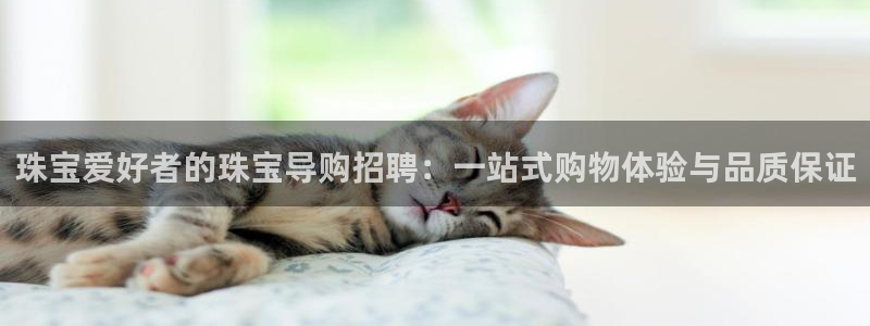 新宝5平台咋样：珠宝爱好者的珠宝导购招聘：一站式购物体验与品质保证