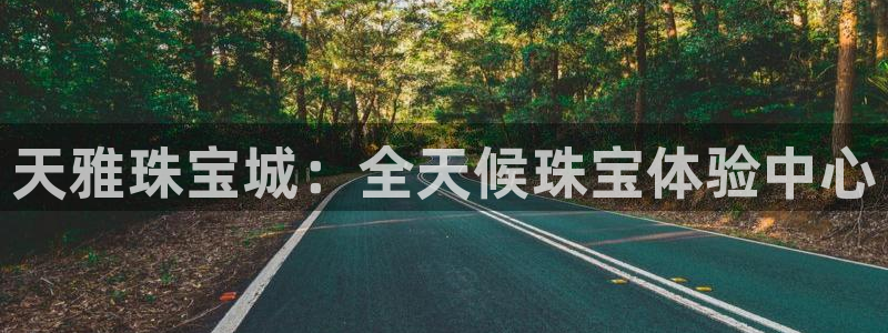 新宝5黑彩：天雅珠宝城：全天候珠宝体验中心