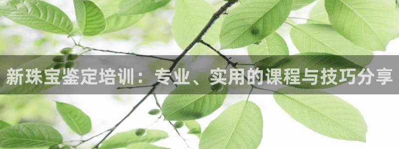 新宝5X：新珠宝鉴定培训：专业、实用的课程与技巧分享