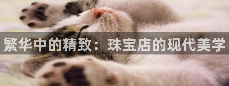 新宝5下载app：繁华中的精致：珠宝店的现代美学