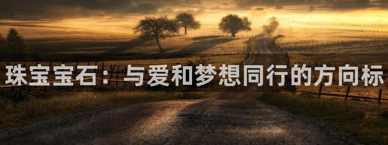 新宝5下载测试：珠宝宝石：与爱和梦想同行的方向标