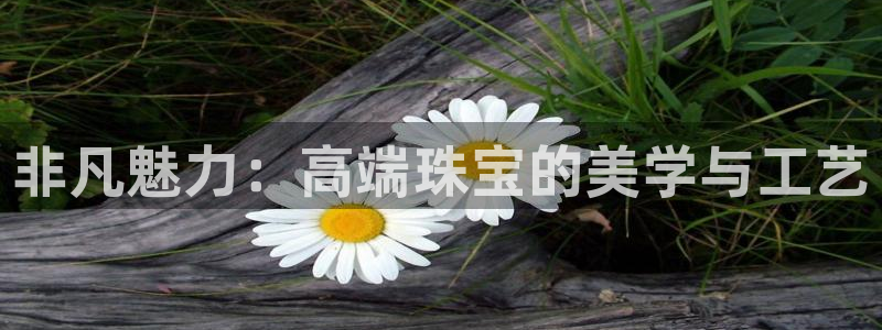 新宝5新宝6顺达：非凡魅力：高端珠宝的美学与工艺