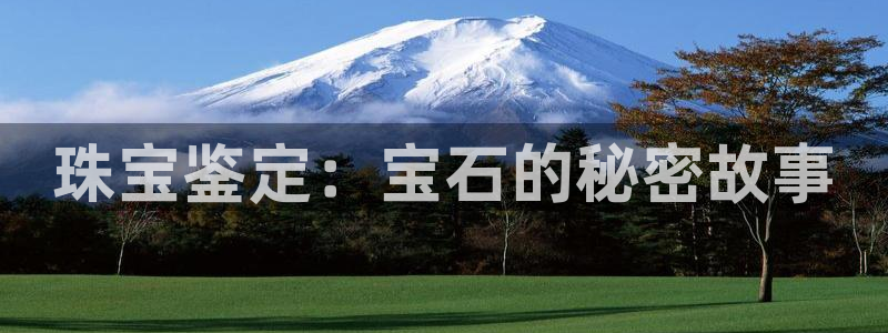 新宝5app：珠宝鉴定：宝石的秘密故事