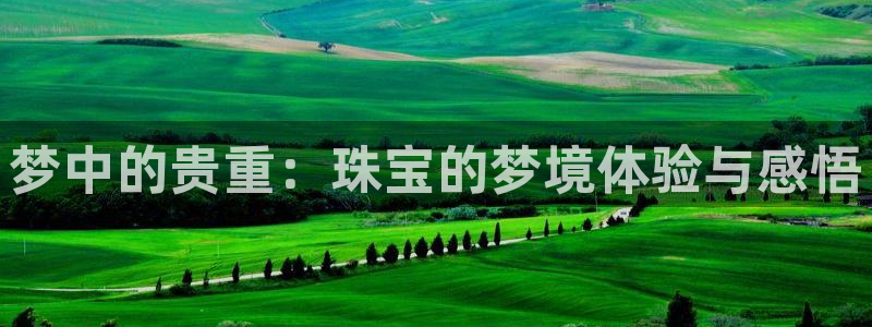 新宝5下载到桌面：梦中的贵重：珠宝的梦境体验与感悟