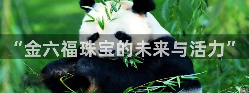 新5宝：“金六福珠宝的未来与活力”