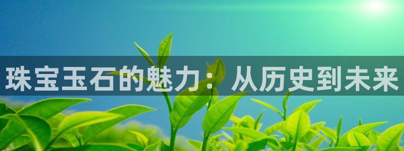新宝6霸哥5：珠宝玉石的魅力：从历史到未来