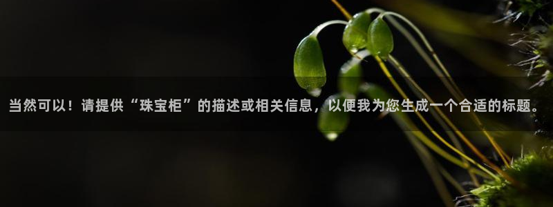 新宝股东瞧听2 5 5：当然可以！请提供“珠宝柜”的描述或相关信息，以便我为您生