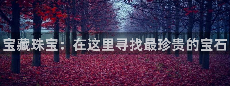 新宝5唯一：宝藏珠宝：在这里寻找最珍贵的宝石