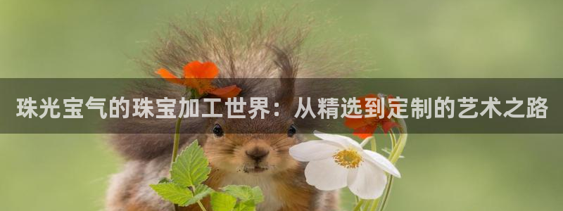 新宝5怎么下载到桌面：珠光宝气的珠宝加工世界：从精选到定制的艺术之路