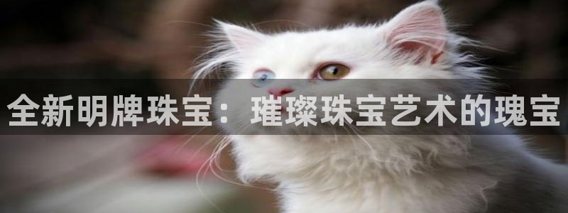 新宝b2O5O5O：全新明牌珠宝：璀璨珠宝艺术的瑰宝