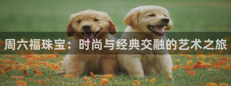 新宝5手机登陆：周六福珠宝：时尚与经典交融的艺术之旅