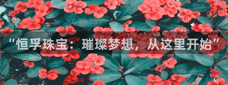 新宝5挂机：“恒孚珠宝：璀璨梦想，从这里开始”