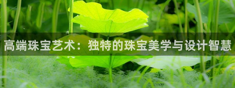 新宝堂新会陈皮5年：高端珠宝艺术：独特的珠宝美学与设计智慧