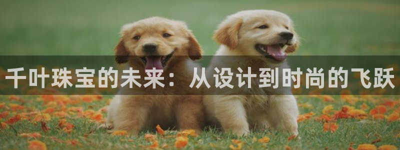 新宝5X：千叶珠宝的未来：从设计到时尚的飞跃