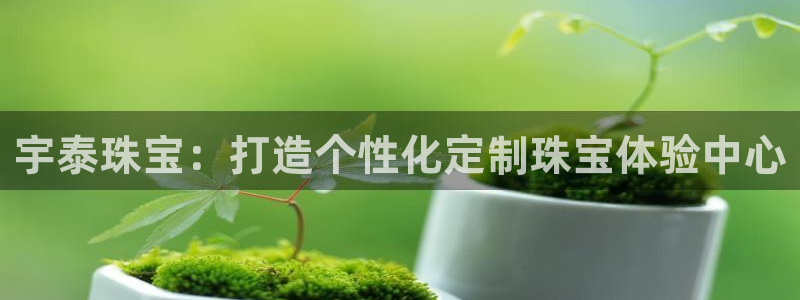 新宝5招商：宇泰珠宝：打造个性化定制珠宝体验中心