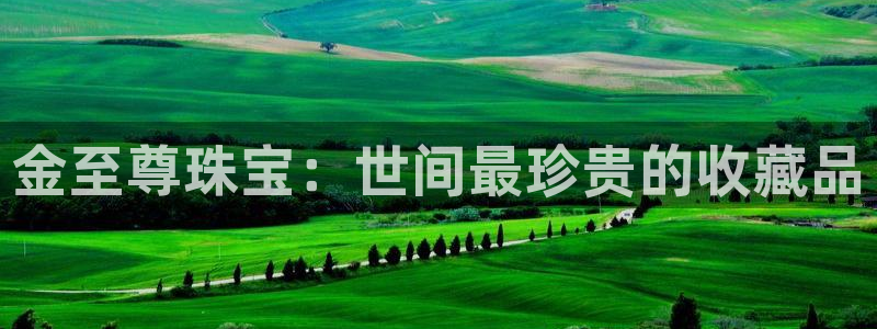 新宝5测：金至尊珠宝：世间最珍贵的收藏品