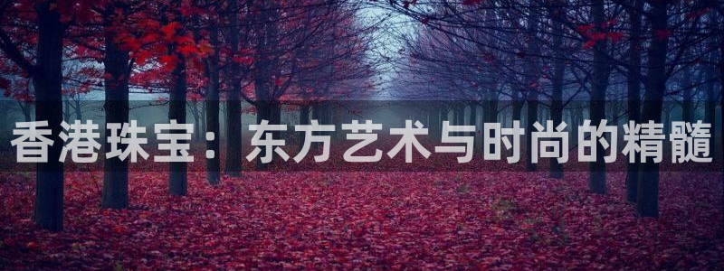 新宝娱乐5：香港珠宝：东方艺术与时尚的精髓