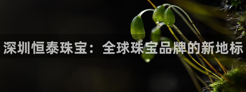新宝5-测速：深圳恒泰珠宝：全球珠宝品牌的新地标