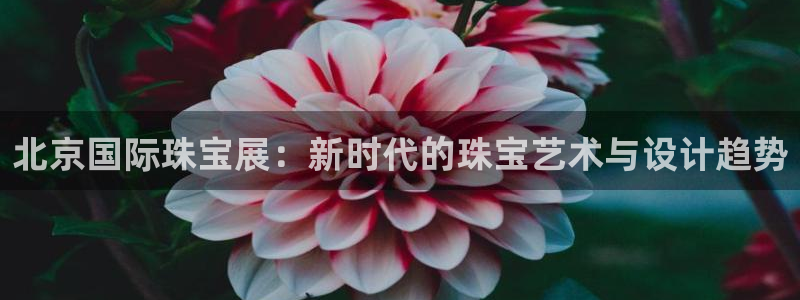 新宝娱乐5入口：北京国际珠宝展：新时代的珠宝艺术与设计趋势