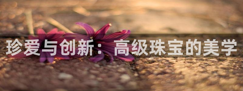 新宝_5：珍爱与创新：高级珠宝的美学