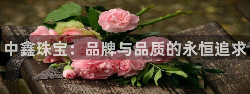 新宝5周74OOO5：中鑫珠宝：品牌与品质的永恒追求