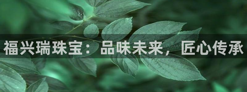 新宝骏rc5W：福兴瑞珠宝：品味未来，匠心传承