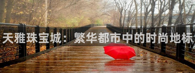 新宝5注册霸：天雅珠宝城：繁华都市中的时尚地标