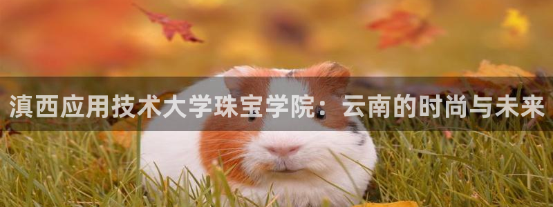 新宝新5：滇西应用技术大学珠宝学院：云南的时尚与未来