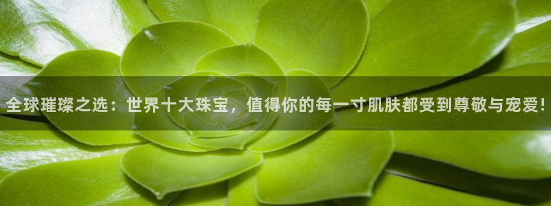 新宝b2O5O5O：全球璀璨之选：世界十大珠宝，值得你的每一寸肌肤都受到尊敬与宠