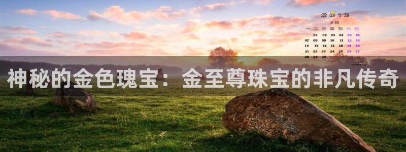 新宝5app：神秘的金色瑰宝：金至尊珠宝的非凡传奇