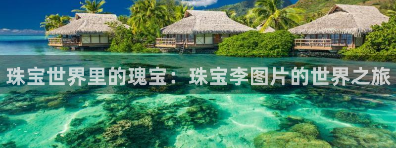 新宝5：珠宝世界里的瑰宝：珠宝李图片的世界之旅