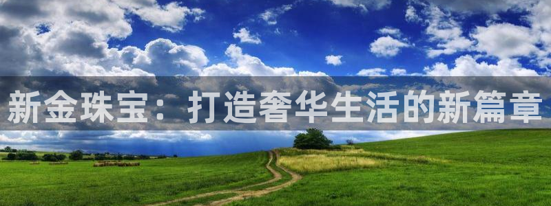 有人知道新宝5么：新金珠宝：打造奢华生活的新篇章