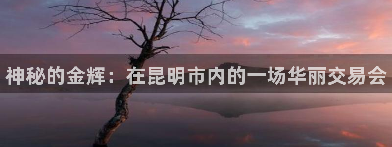 新宝5是谁：神秘的金辉：在昆明市内的一场华丽交易会