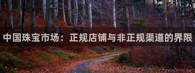 新宝5娱乐代理：中国珠宝市场：正规店铺与非正规渠道的界限