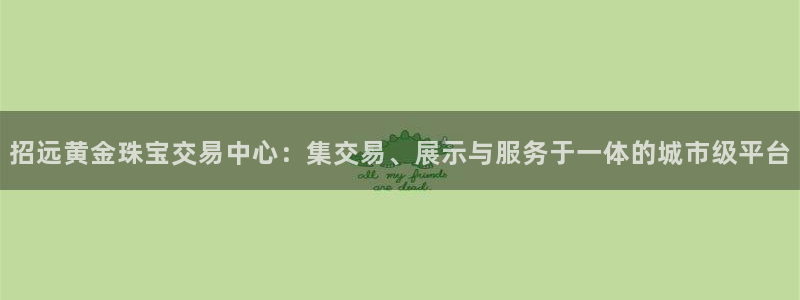 新宝新5：招远黄金珠宝交易中心：集交易、展示与服务于一体的城市级平台