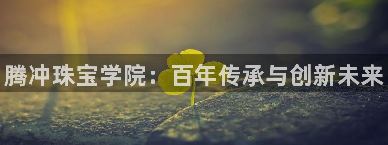 新宝5球维33 300：腾冲珠宝学院：百年传承与创新未来