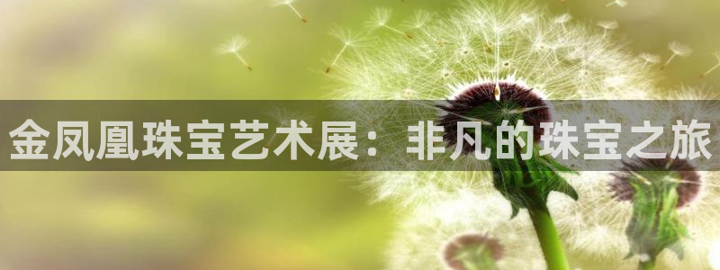 股票5G宝新：金凤凰珠宝艺术展：非凡的珠宝之旅