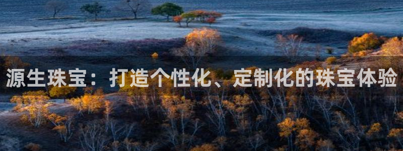 5新宝：源生珠宝：打造个性化、定制化的珠宝体验