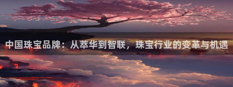 新宝5官方：中国珠宝品牌：从萃华到智联，珠宝行业的变革与机遇