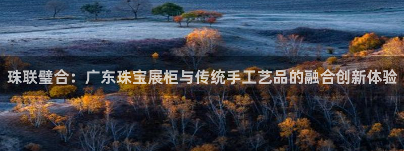 新宝5玩法：珠联璧合：广东珠宝展柜与传统手工艺品的融合创新体验