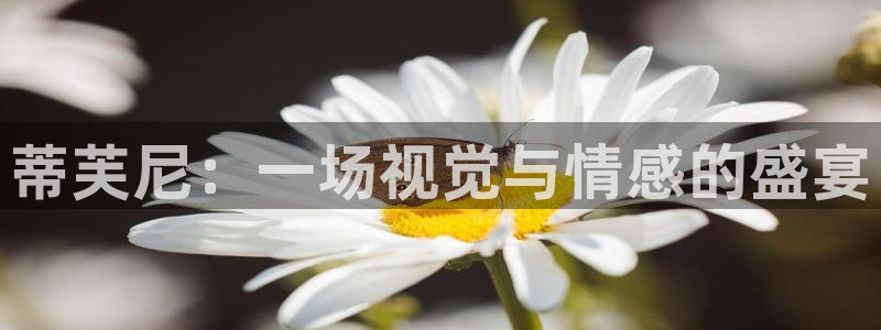 新宝cR一5：蒂芙尼：一场视觉与情感的盛宴