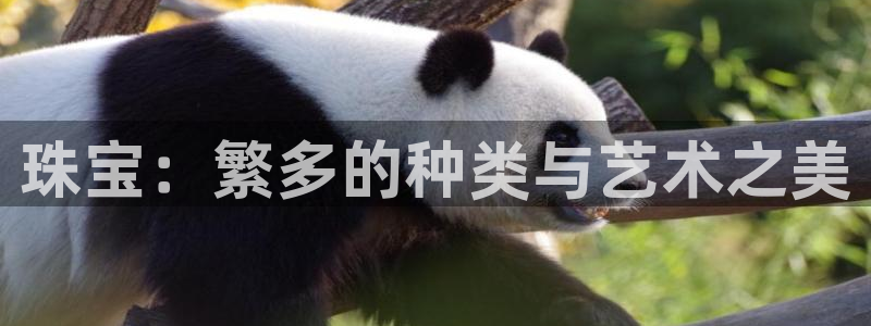 新宝5测登录：珠宝：繁多的种类与艺术之美