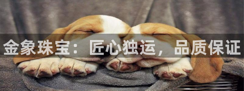 新宝5软件下载：金象珠宝：匠心独运，品质保证