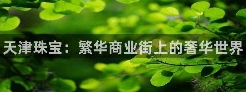 新宝5登陆地址：天津珠宝：繁华商业街上的奢华世界