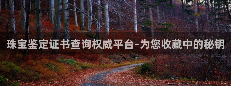 新宝5平台注册：珠宝鉴定证书查询权威平台-为您收藏中的秘钥